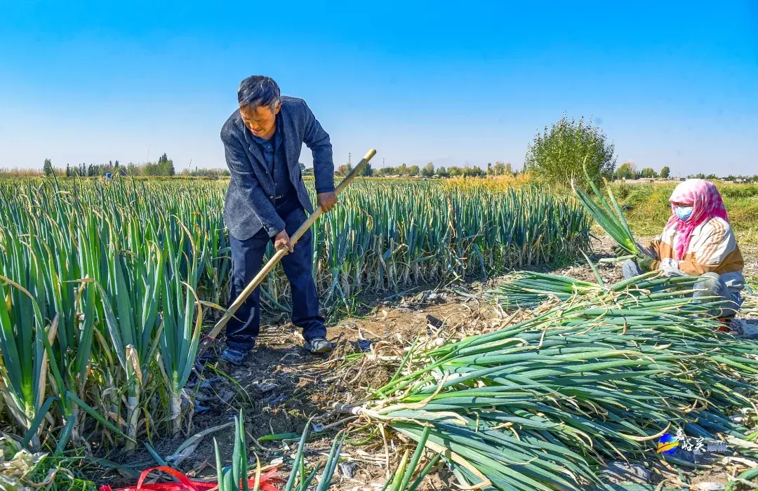 最近，嘉峪关人常去的这几个地方大变样！颜值暴增！你发现了吗？-图9