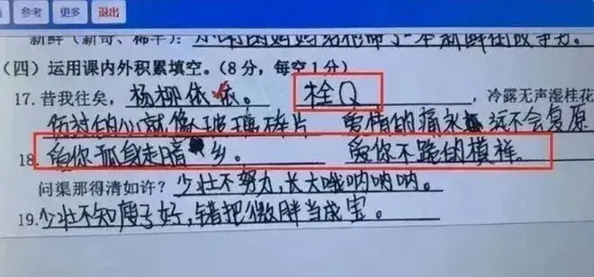 黑话和烂梗，包围中小学生-图3