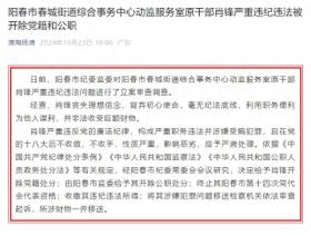 涉嫌受贿犯罪，广东省阳春市春城街道综合事务中心动监服务室原干部肖锋被“双开”